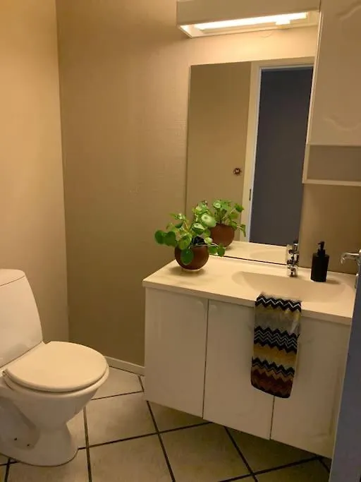 Apartment Sentrumsnaer Leilighet Med 3 Soverom. Bergen